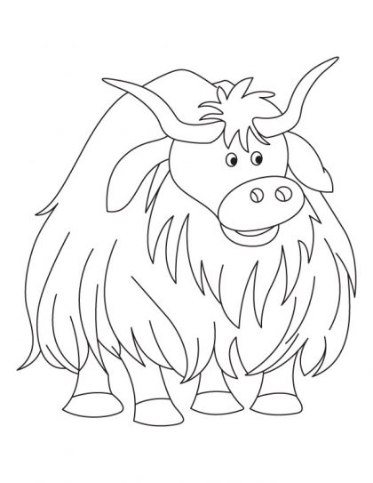Yak Coloring Pages | Kids coloring pages