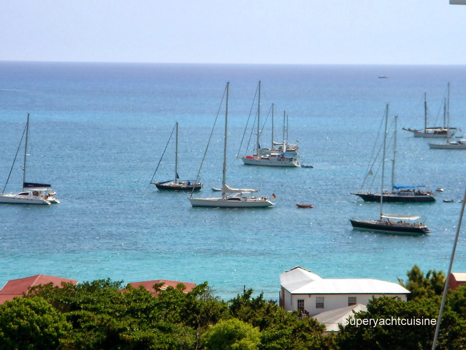 Warm Waters of the Caribbean