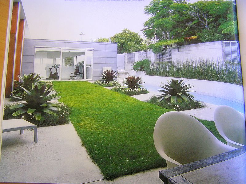Landscaping Designs For Your Backyard ~ Landscape Plant
