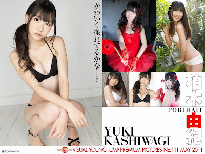 VISUAL YOUNG JUMP PREMIUM PICTURES NO.111─柏木由紀