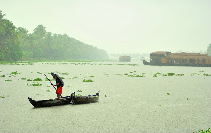 Kerala Gods on country ! Kumarakom Backwaters Beautiful Photos