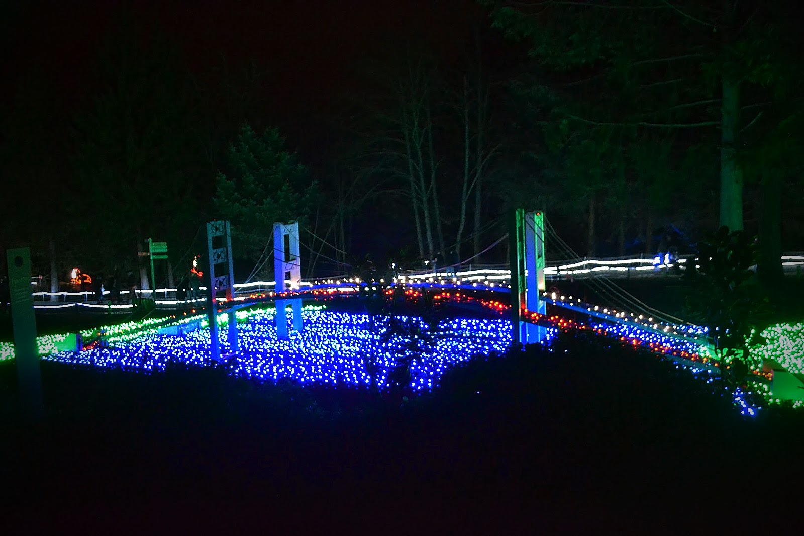 The Outlaw Gardener On the Twelfth Day of Christmas Zoo Lights