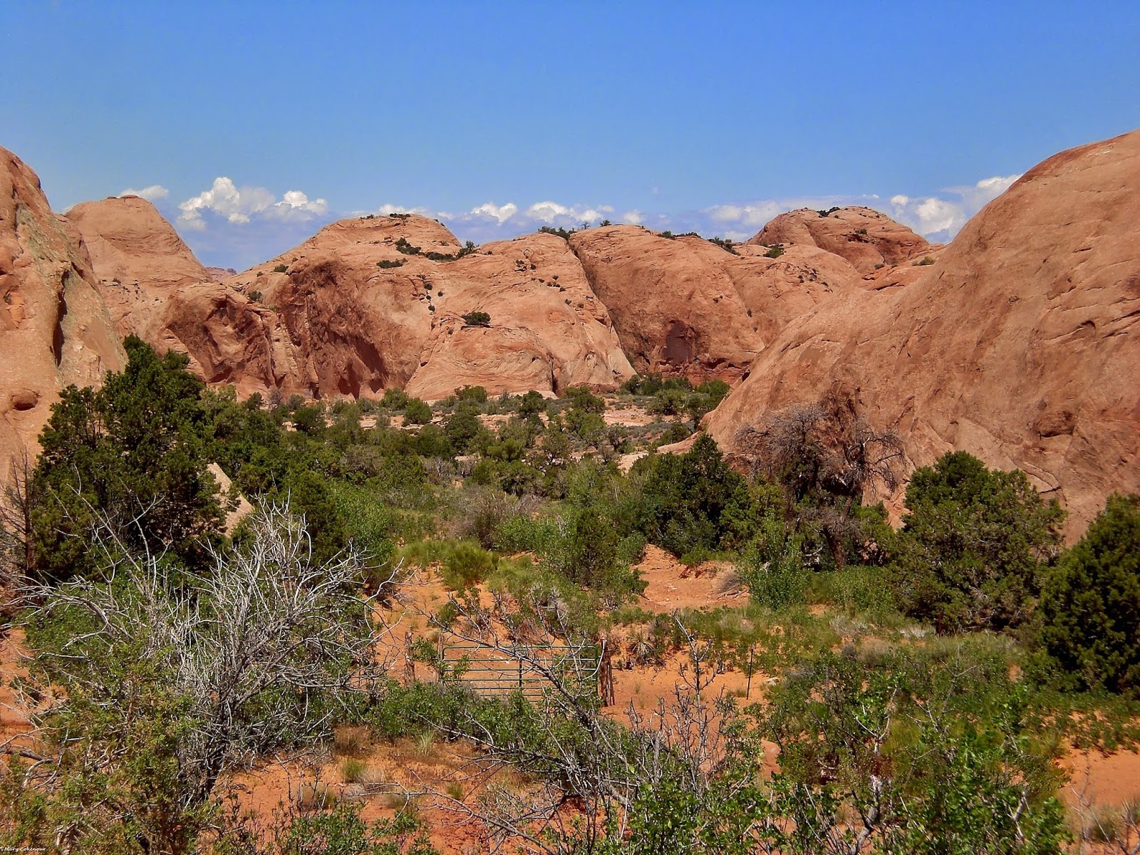 The Southwest Through Wide Brown Eyes Only Thing Flat in Sand Flats is