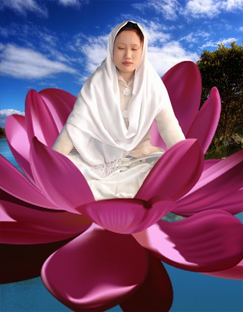 Download high quality plugins