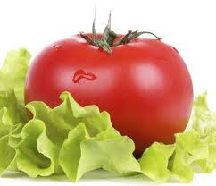 Ensalada de tomate Ensalada de tomate