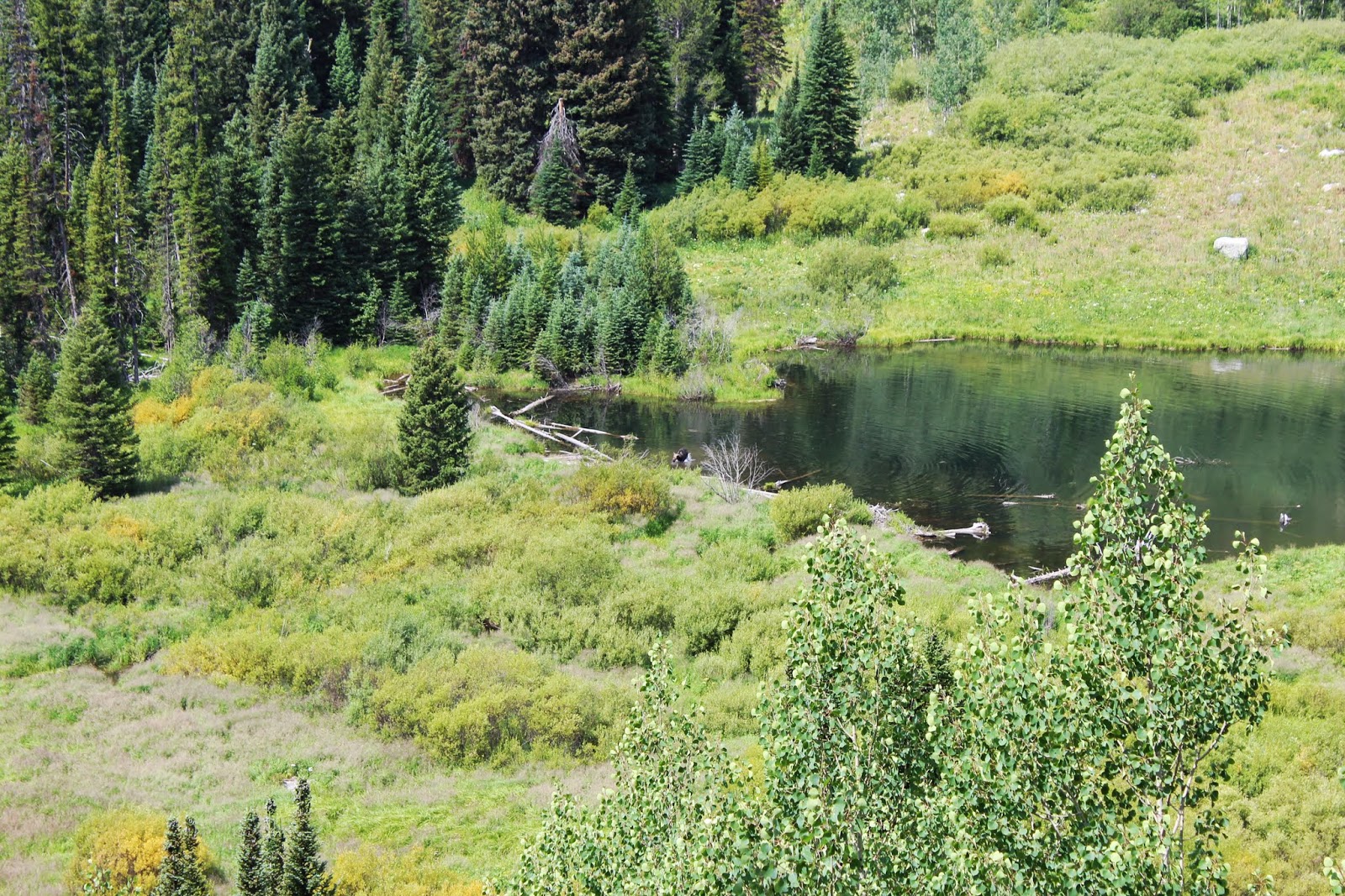 wasatch and beyond Jenny Lake, Hidden Falls, and Inspiration Point