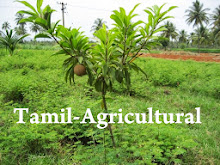 Tamil-Agricultural News