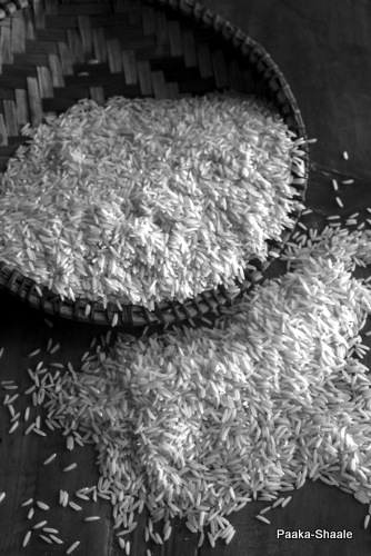 Rice+B&W-001.jpg