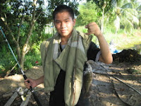 Memancing Talapia Di Gum Gum