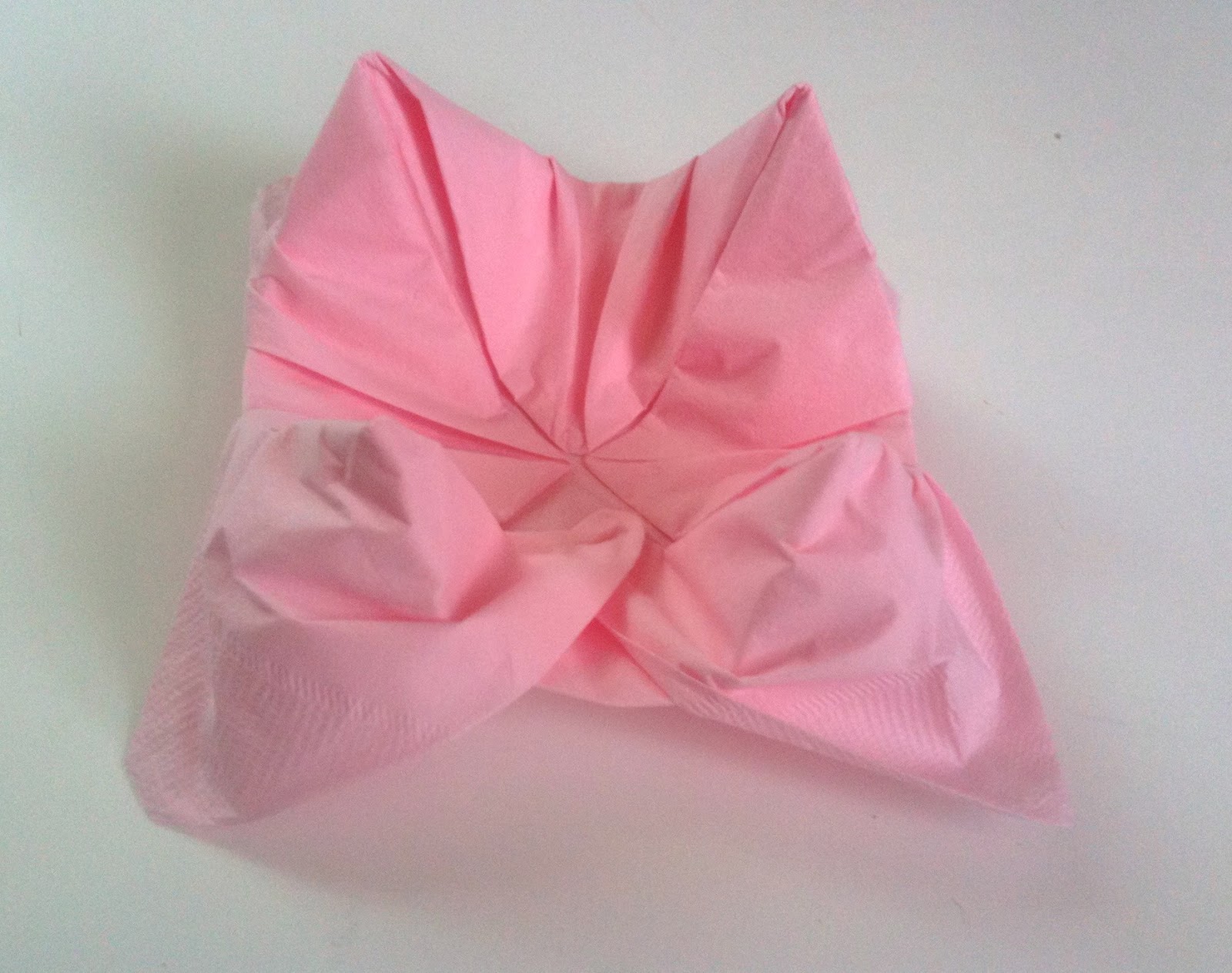 Daisy Celebrates Lotus Flower Napkin Fold