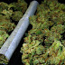 Cámara de Diputados realizará foro sobre regulación de la marihuana