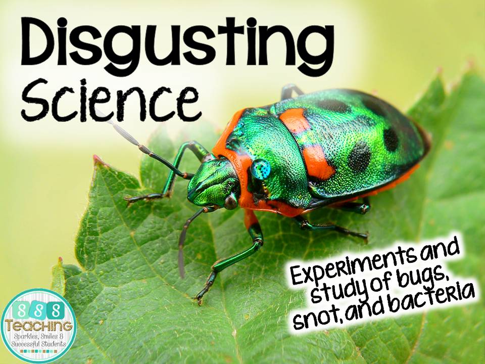 DISGUSTING SCIENCE Summer Science Day 6 SSSTeaching