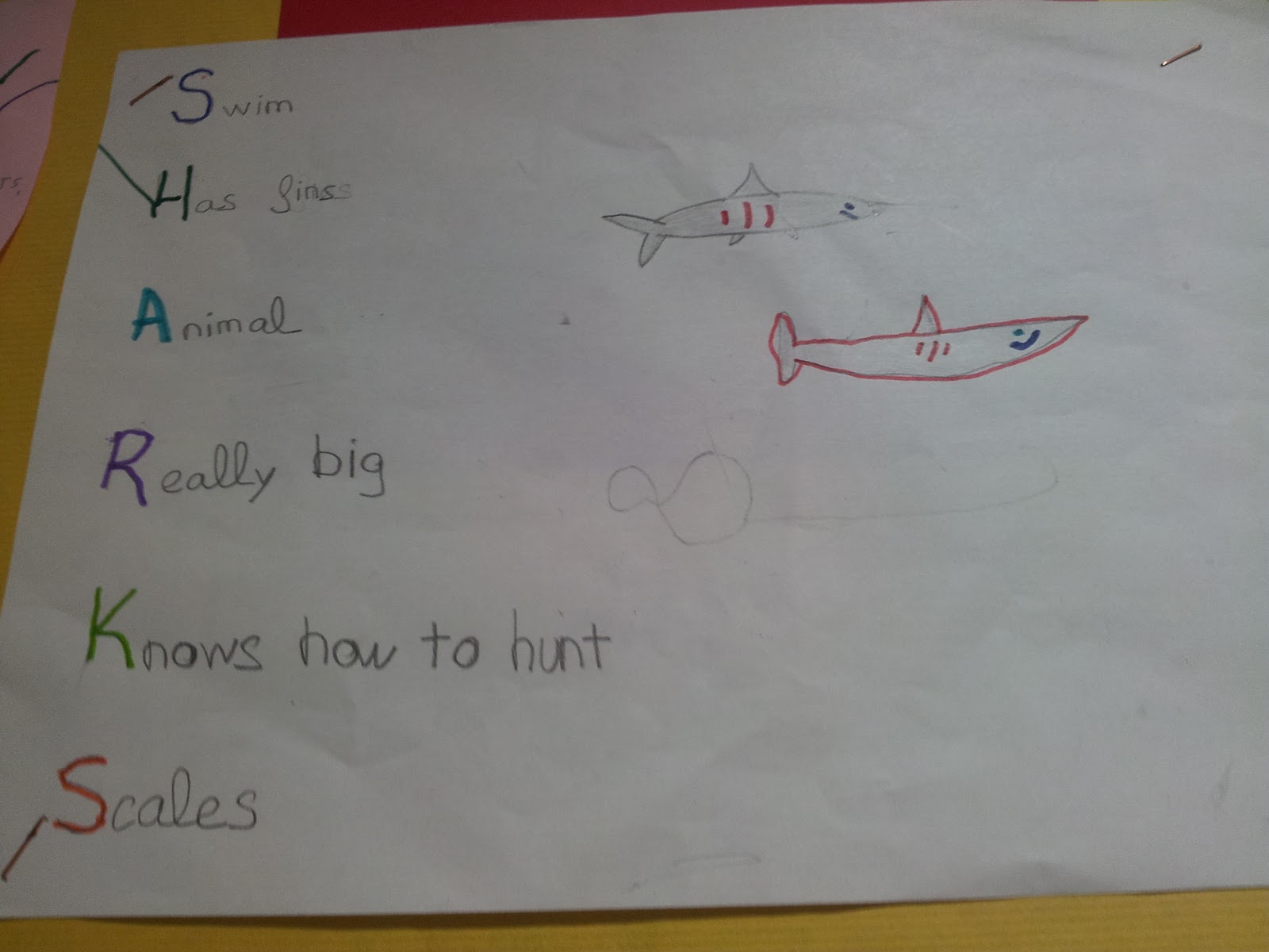 Conocimiento del medio 3º: 3