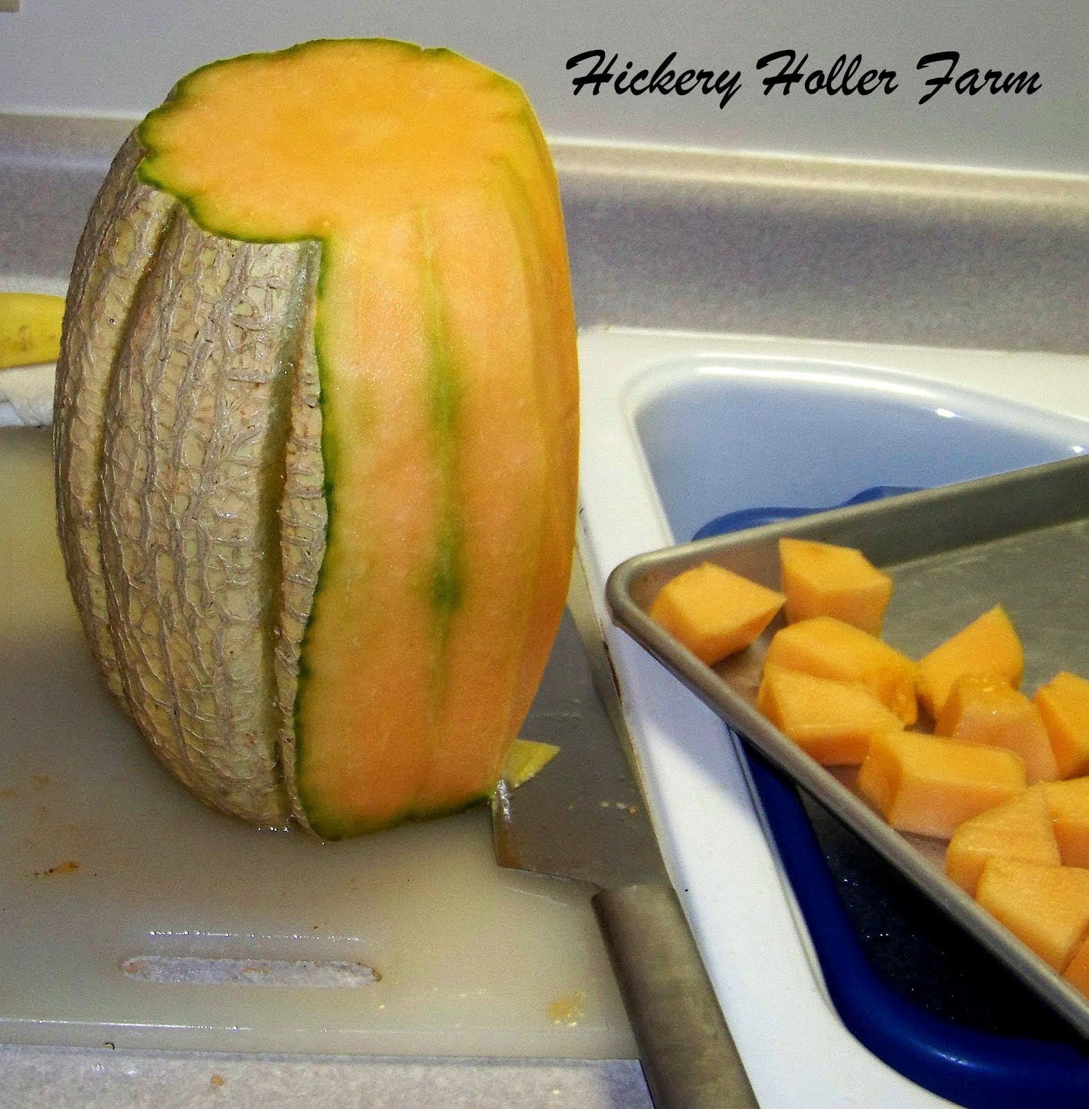 Hickery Holler Farm Freezing Cantaloupe