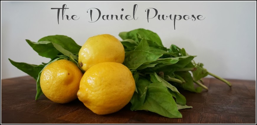 The Daniel Purpose