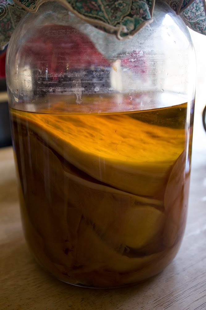 Rurification Vinegar Mothers