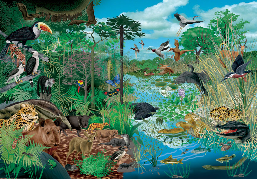 IMAGEN ECOSISTEMA ARTIFICIAL imagen ecosistema artificial: