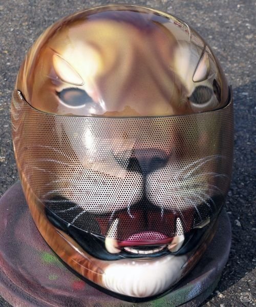 Decorated Helmets 20 Pics Curious, Funny Photos / Pictures