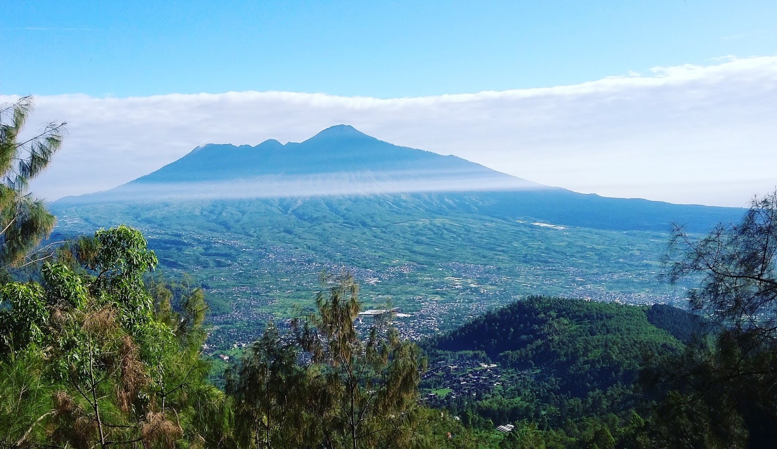 Panderman Malang