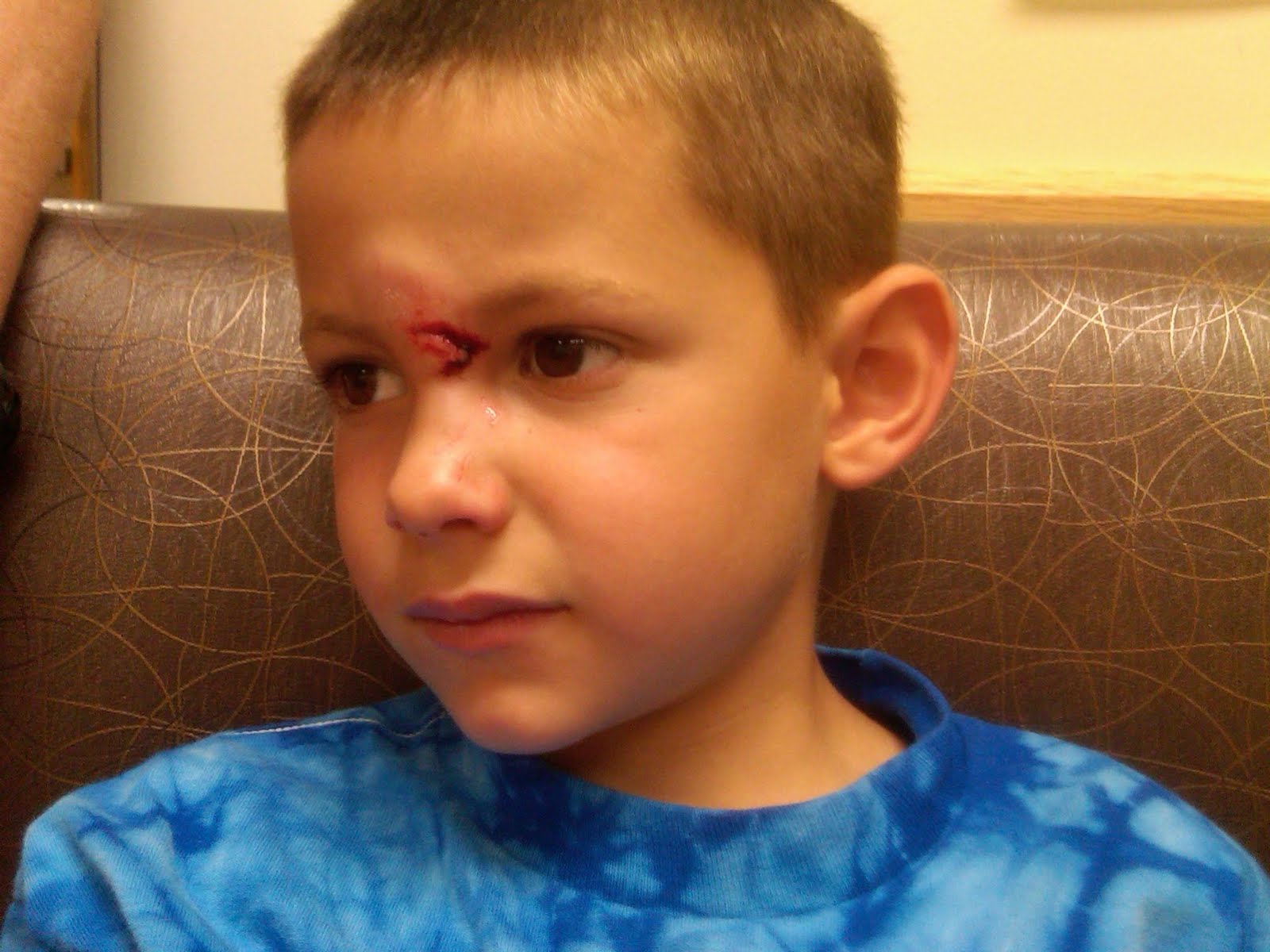 FirstTime Stitches and the Terrible Horrible No Good