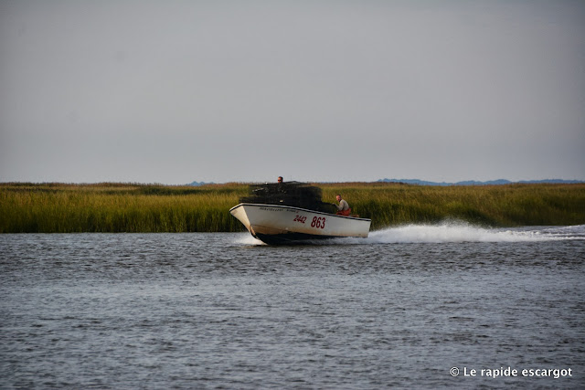 cohansey-river