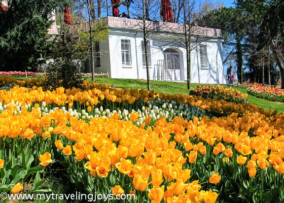 Tulip Time In Istanbul Again My Traveling Joys
