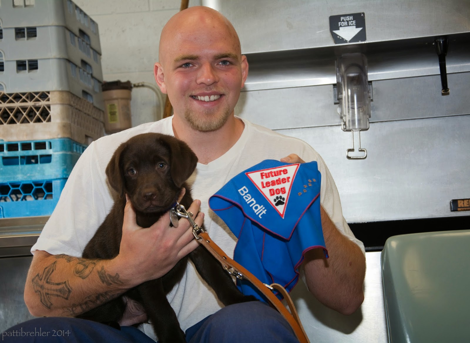 The bald man in the white t-shirt is sitting down facing the camera with the chocolate lab puppy in his lap. He is supporting the puppy with his right forearm and hand and holding a blue Future Leader Dog bandana with his left hand. The bandana has the name "Bandit" embroidered on it. There is a brown leash handing down from the puppy's collar. Behind the man is an ice maching on the right and a pile of milk crates on the left.