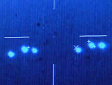 Mexican Air Force pilots