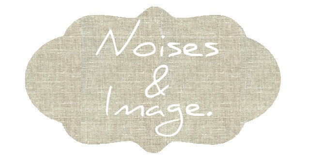 Noises & Image