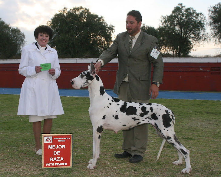 Hannah Expo-Criadores 2012