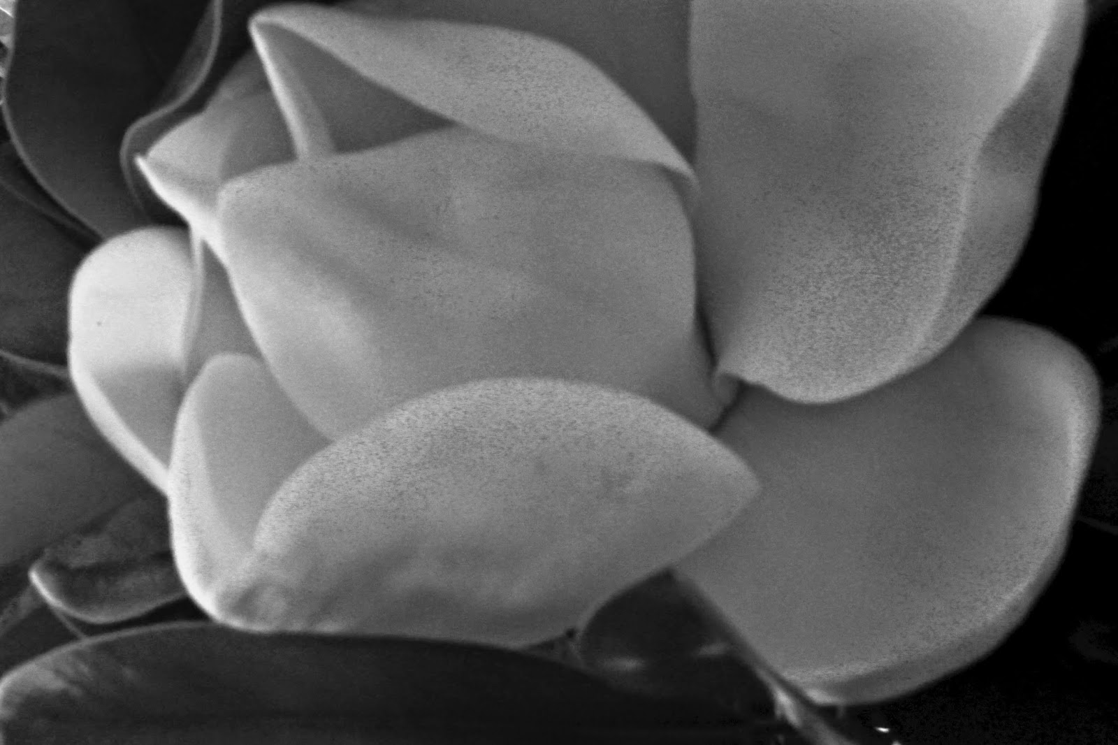 ginas photography f64 inspiration of willard van dyke