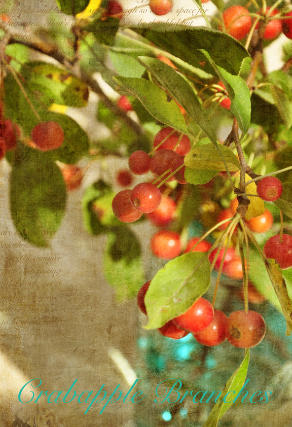 Are Crab Apples Good For Dogs