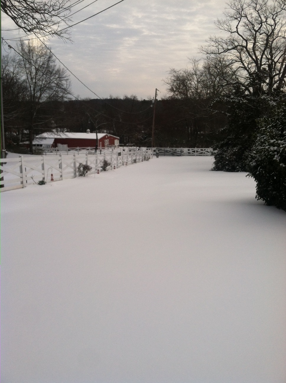 Aldas Magnolia Hill Magnolia Hill's First Snowfall