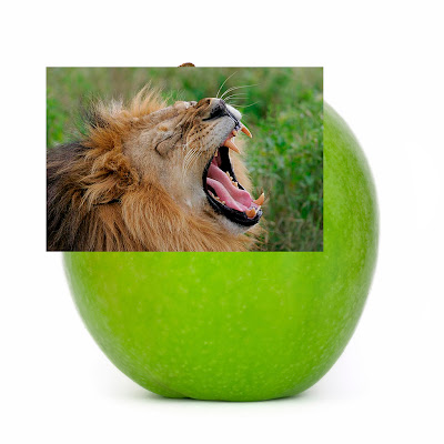 Menggabungkan 2 objek yang berbeda menggabungkan+2+objek00 Menggabungkan 2 objek yang berbeda