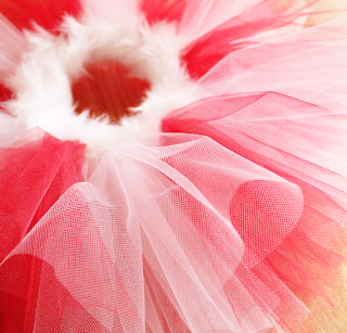 Christmas Candy Cane Tutu #DIY #Christmas | crab+fish