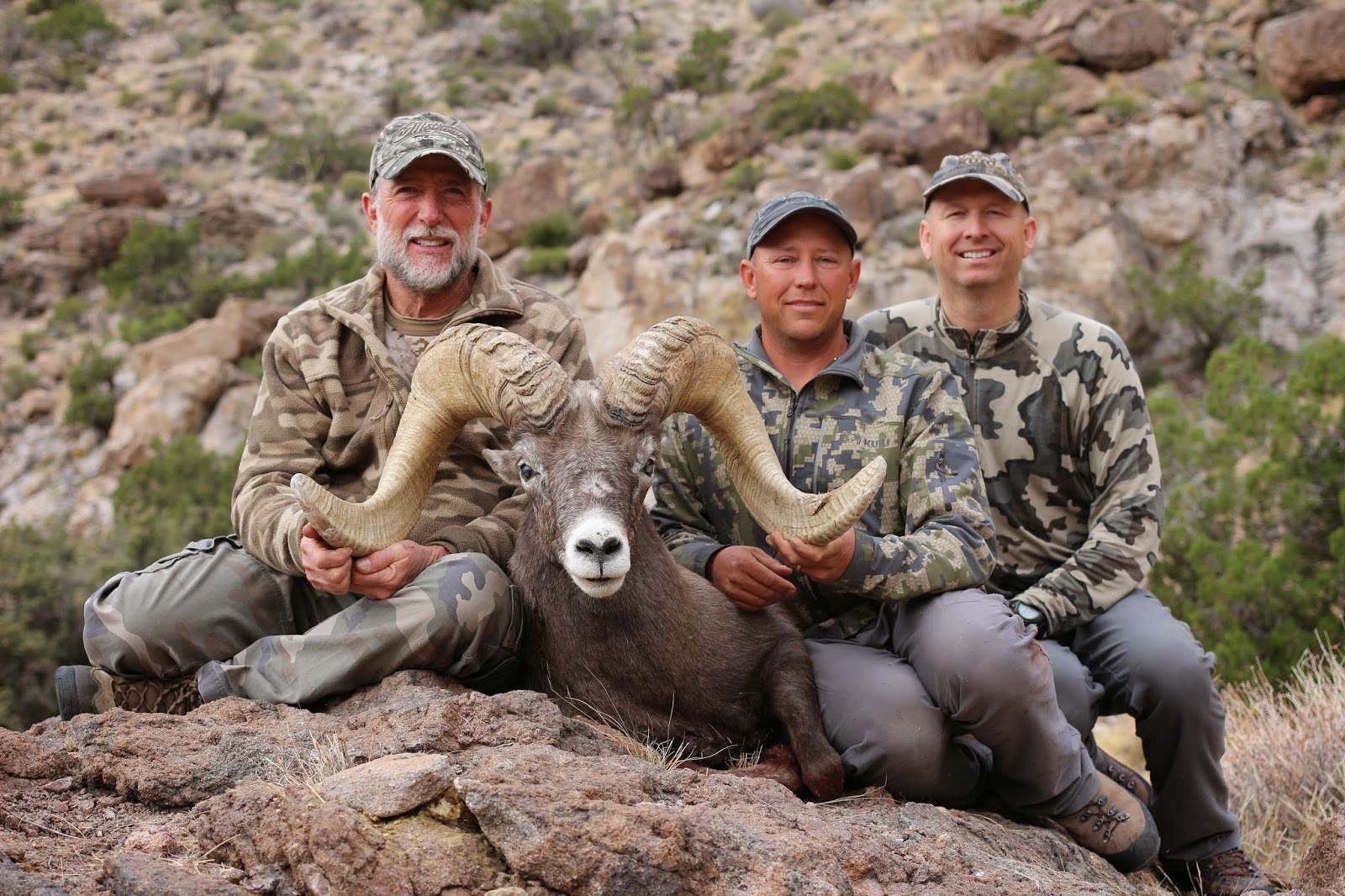 Desert%2BBighorn%2BSheep%2BHunting%2Bin%2BArizona%2Bwith%2BColburn%2Band%2BScott%2BOutfitters%2BBob%2BOconnor%2BRam%2B1.1.JPG