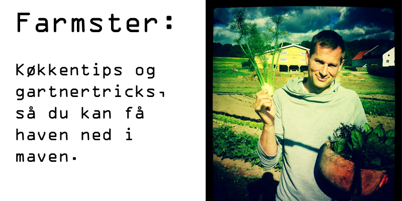 Farmster.blogspot.dk