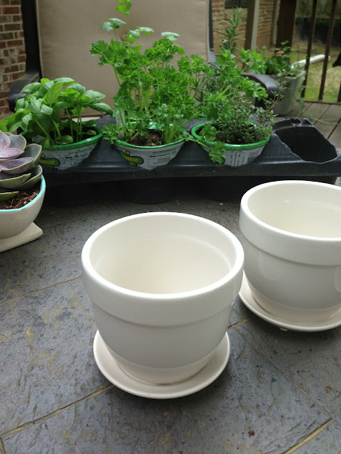 Garden Ridge White Planter pot, herb