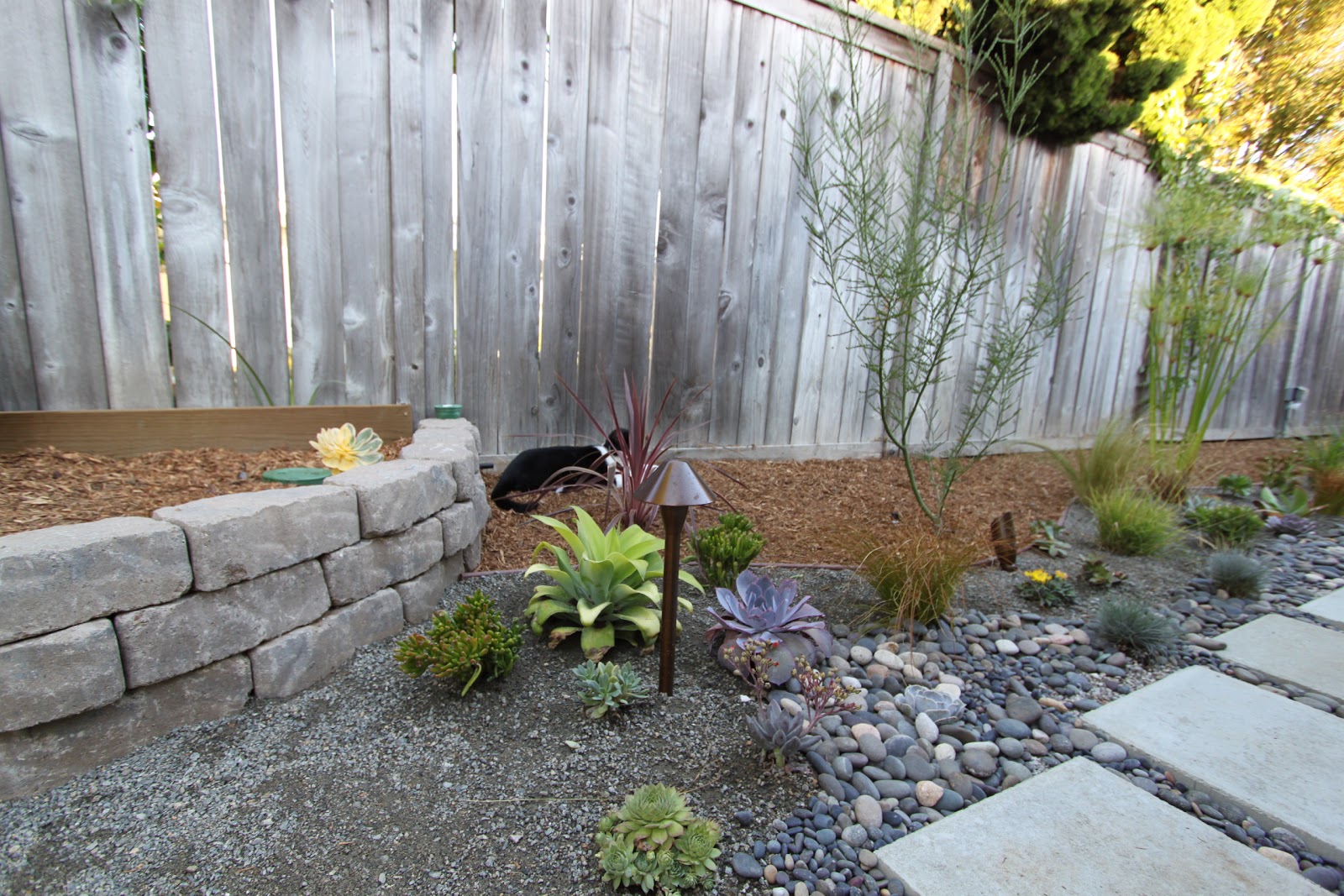 landscaping a mid century modern home