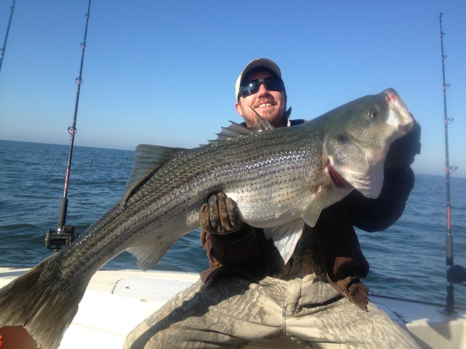 "Rock Hound Charters" Va Beach Rock Fish Charters