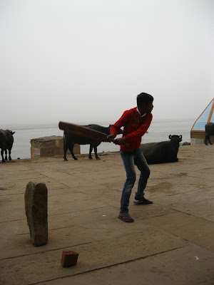 cricket and cows in varanasi