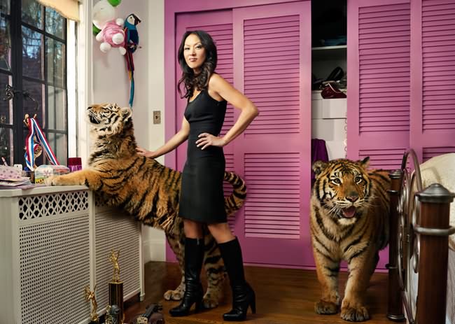 fotos de famosos realmente creativos fotos de famosos realmente creativos