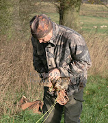 A dog that grabs the netted rabbits will missing anything following behind. (pd ferreting)
