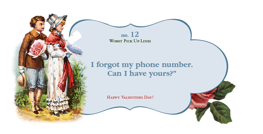 Sarah Fritzler: valentines 2010: worst pick up lines