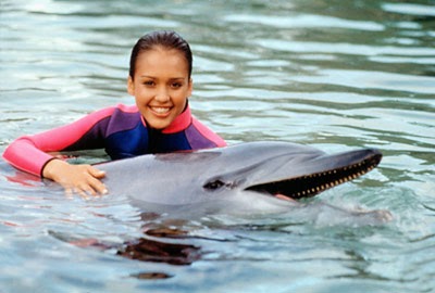 flipper jessica alba | Funky Shunky