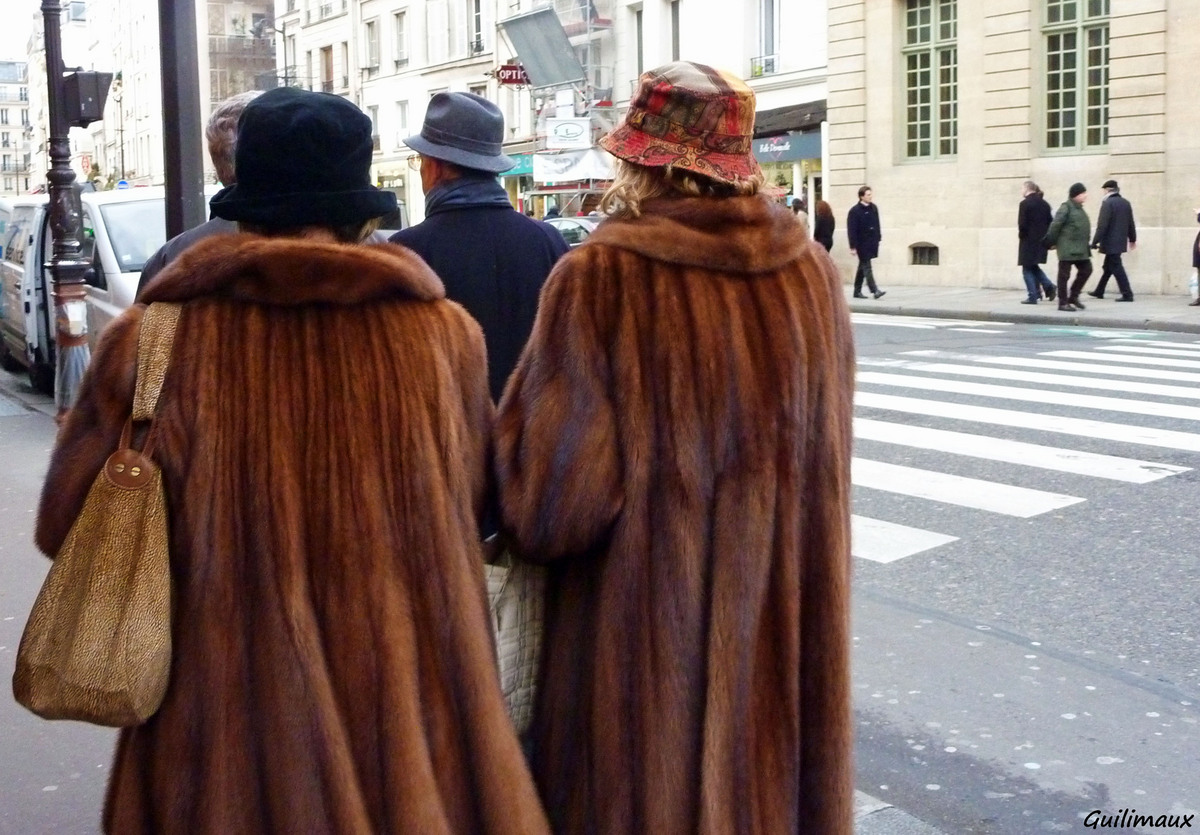 Survivalisme et autonomie en France La défense passive et active.