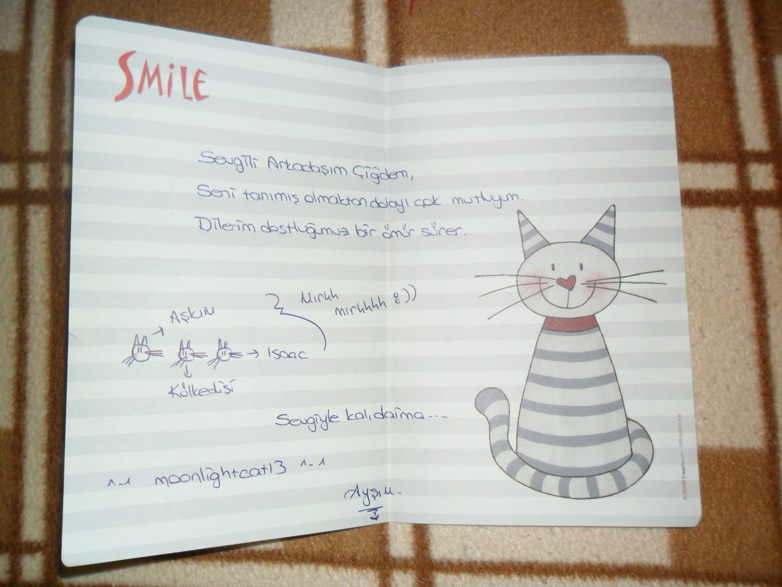 Bir Dalda İki Baykuş: Nisan 2013