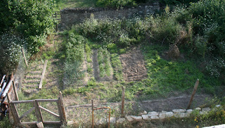 Garden getting more prepared all the time Garden getting more prepared all the time