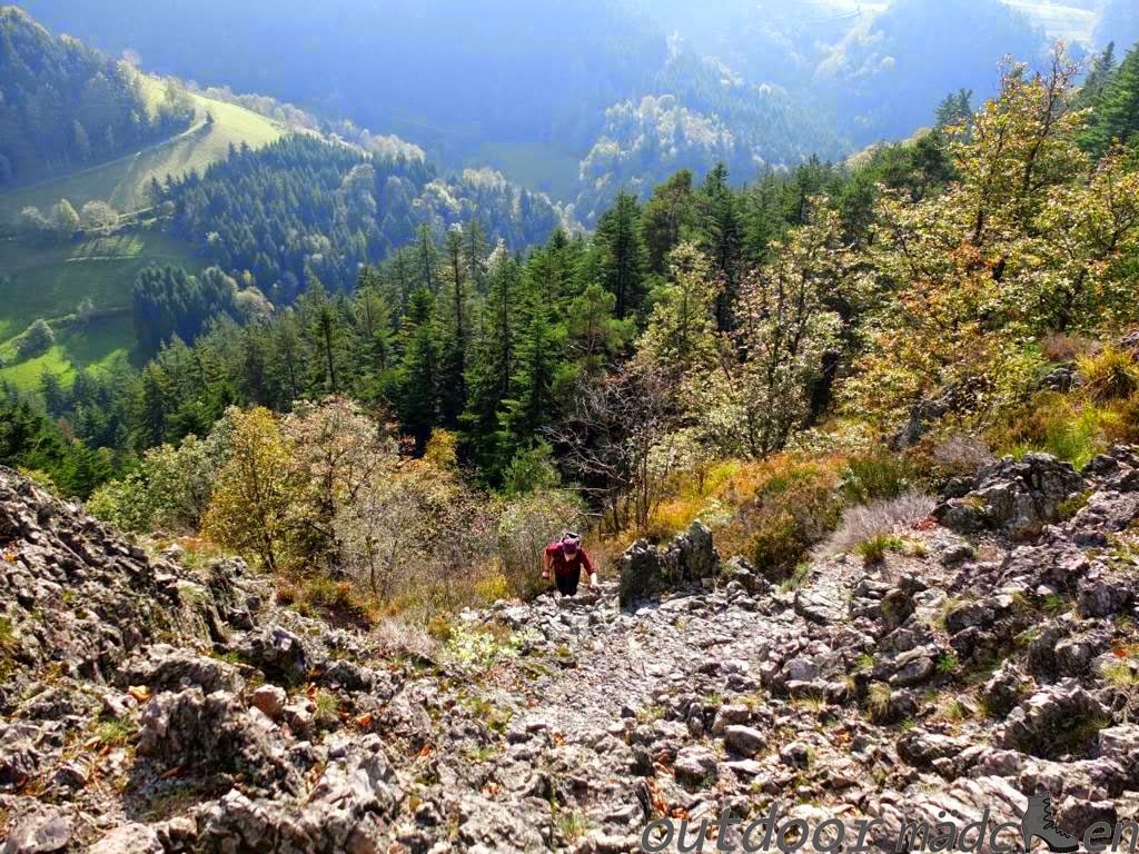 Discover The Beauty Of The Black Forest In Germany Tourist