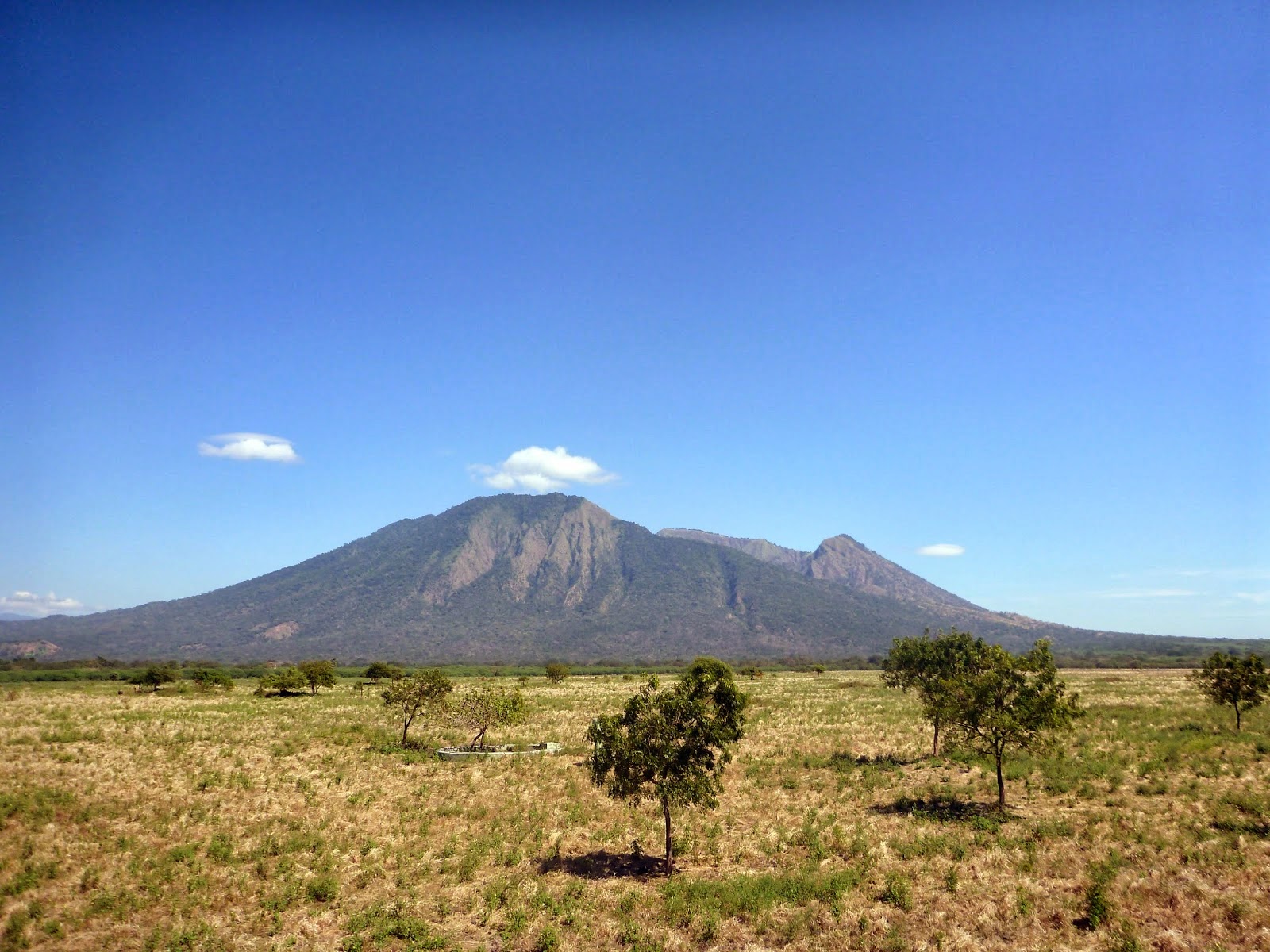 EKSOTISME TAMAN NASIONAL BALURAN | freewaremini